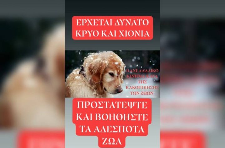 Κακοποίηση ζώων και ακτιβισμός - Η αδέσμευτη φωνή των τετράποδων