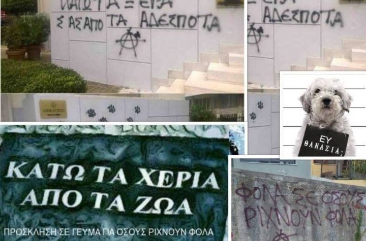 Κακοποίηση ζώων και ακτιβισμός - Η αδέσμευτη φωνή των τετράποδων