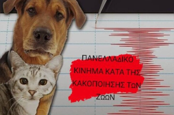 Κακοποίηση ζώων και ακτιβισμός - Η αδέσμευτη φωνή των τετράποδων