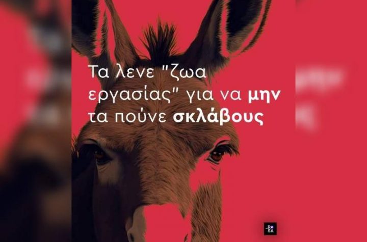 Κακοποίηση ζώων και ακτιβισμός - Η αδέσμευτη φωνή των τετράποδων