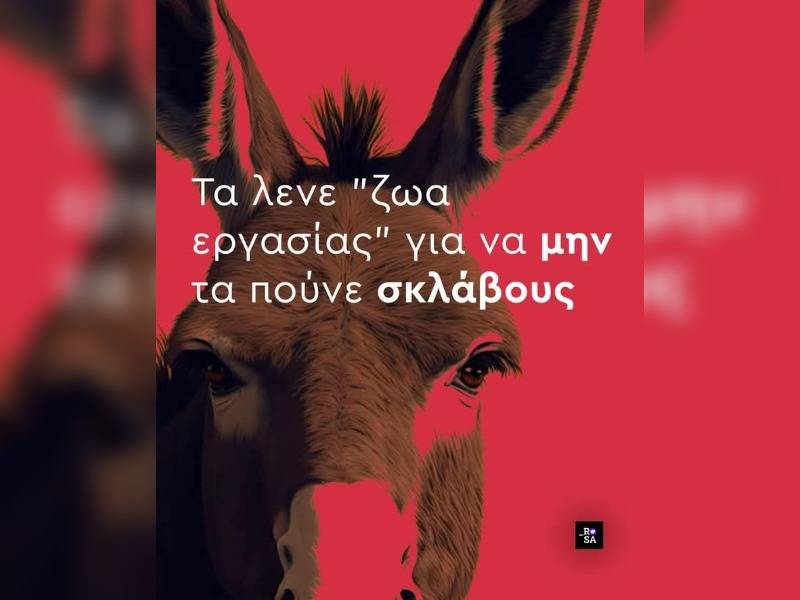 Κακοποίηση ζώων και ακτιβισμός - Η αδέσμευτη φωνή των τετράποδων