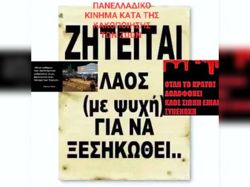 Κακοποίηση ζώων και ακτιβισμός - Η αδέσμευτη φωνή των τετράποδων