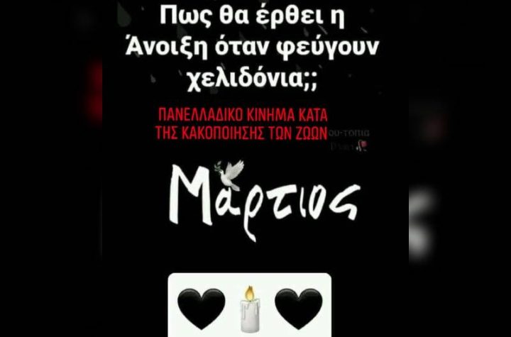 Κακοποίηση ζώων και ακτιβισμός - Η αδέσμευτη φωνή των τετράποδων