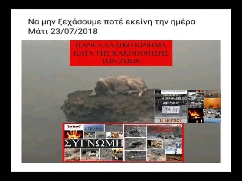 Κακοποίηση ζώων και ακτιβισμός - Η αδέσμευτη φωνή των τετράποδων