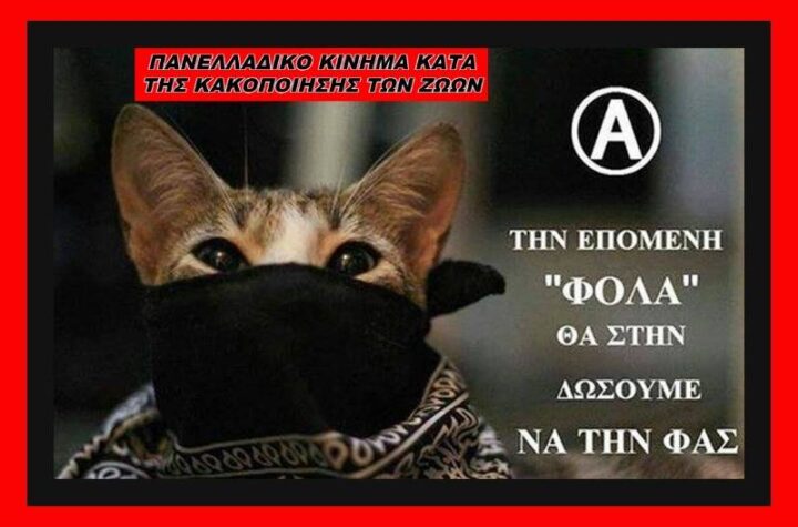 Κακοποίηση ζώων και ακτιβισμός - Η αδέσμευτη φωνή των τετράποδων