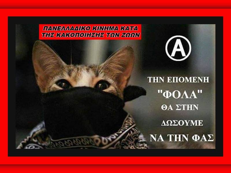 Κακοποίηση ζώων και ακτιβισμός - Η αδέσμευτη φωνή των τετράποδων