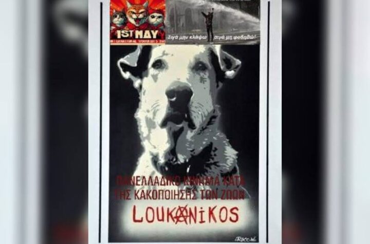 Κακοποίηση ζώων και ακτιβισμός - Η αδέσμευτη φωνή των τετράποδων