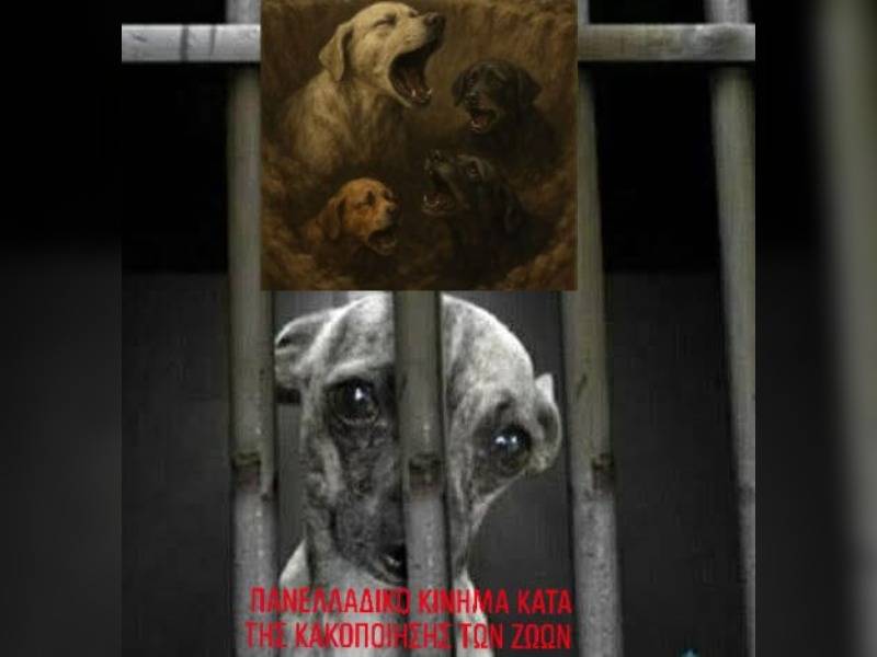 Κακοποίηση ζώων και ακτιβισμός - Η αδέσμευτη φωνή των τετράποδων