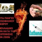 Κακοποίηση ζώων και ακτιβισμός - Η αδέσμευτη φωνή των τετράποδων