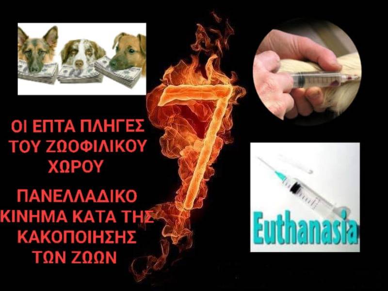 Κακοποίηση ζώων και ακτιβισμός - Η αδέσμευτη φωνή των τετράποδων