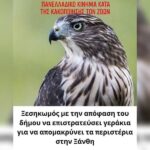 Κακοποίηση ζώων και ακτιβισμός - Η αδέσμευτη φωνή των τετράποδων