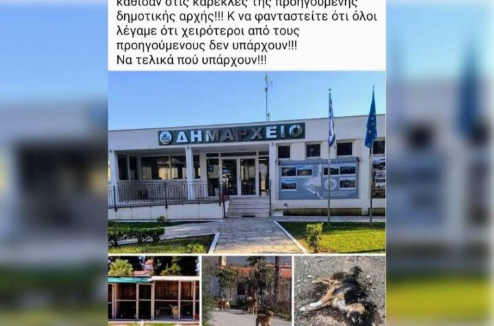 Κακοποίηση ζώων και ακτιβισμός - Η αδέσμευτη φωνή των τετράποδων