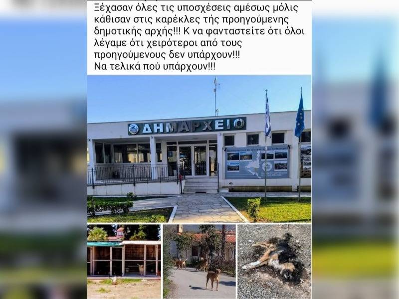 Κακοποίηση ζώων και ακτιβισμός - Η αδέσμευτη φωνή των τετράποδων