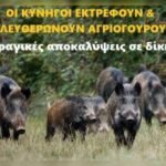 Κακοποίηση ζώων και ακτιβισμός - Η αδέσμευτη φωνή των τετράποδων