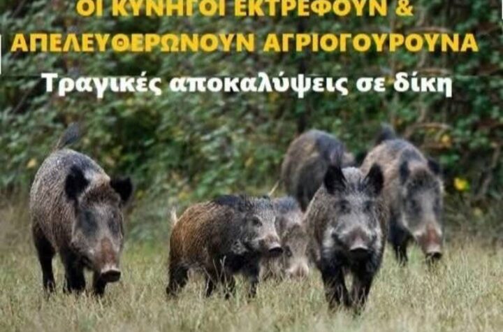 Κακοποίηση ζώων και ακτιβισμός - Η αδέσμευτη φωνή των τετράποδων