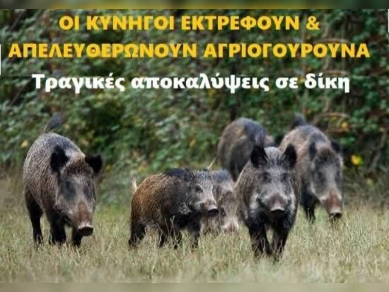 Κακοποίηση ζώων και ακτιβισμός - Η αδέσμευτη φωνή των τετράποδων