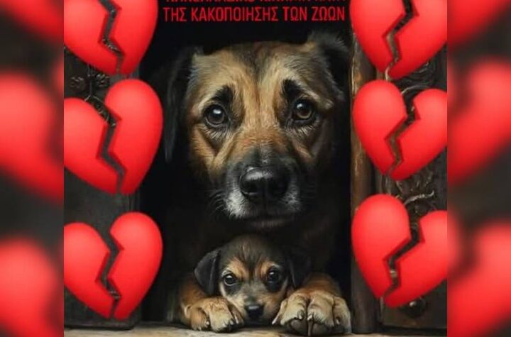 Κακοποίηση ζώων και ακτιβισμός - Η αδέσμευτη φωνή των τετράποδων