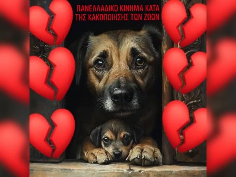 Κακοποίηση ζώων και ακτιβισμός - Η αδέσμευτη φωνή των τετράποδων