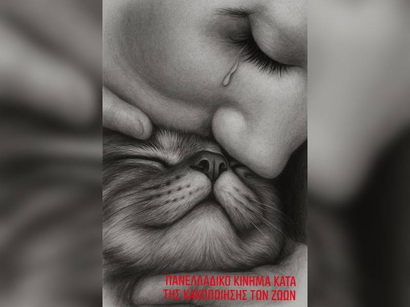 Κακοποίηση ζώων και ακτιβισμός - Η αδέσμευτη φωνή των τετράποδων