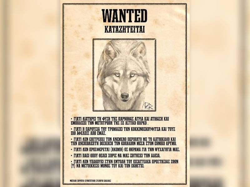 Κακοποίηση ζώων και ακτιβισμός - Η αδέσμευτη φωνή των τετράποδων
