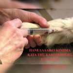 Κακοποίηση ζώων και ακτιβισμός - Η αδέσμευτη φωνή των τετράποδων