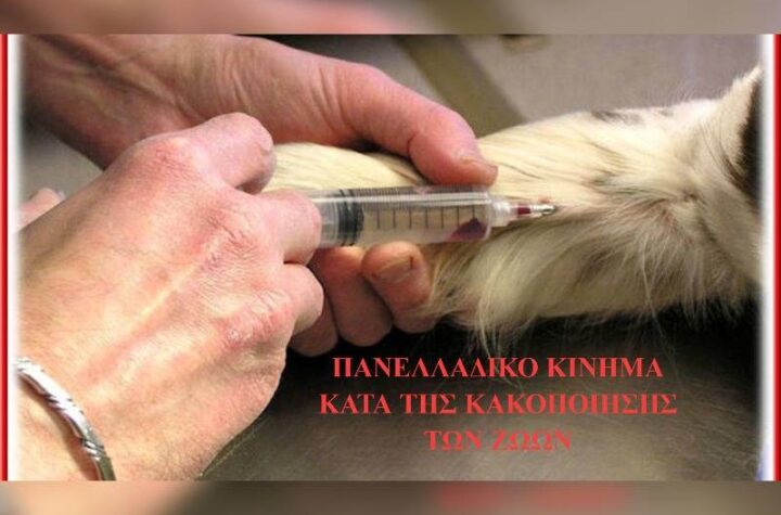 Κακοποίηση ζώων και ακτιβισμός - Η αδέσμευτη φωνή των τετράποδων