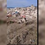 Κακοποίηση ζώων και ακτιβισμός - Η αδέσμευτη φωνή των τετράποδων