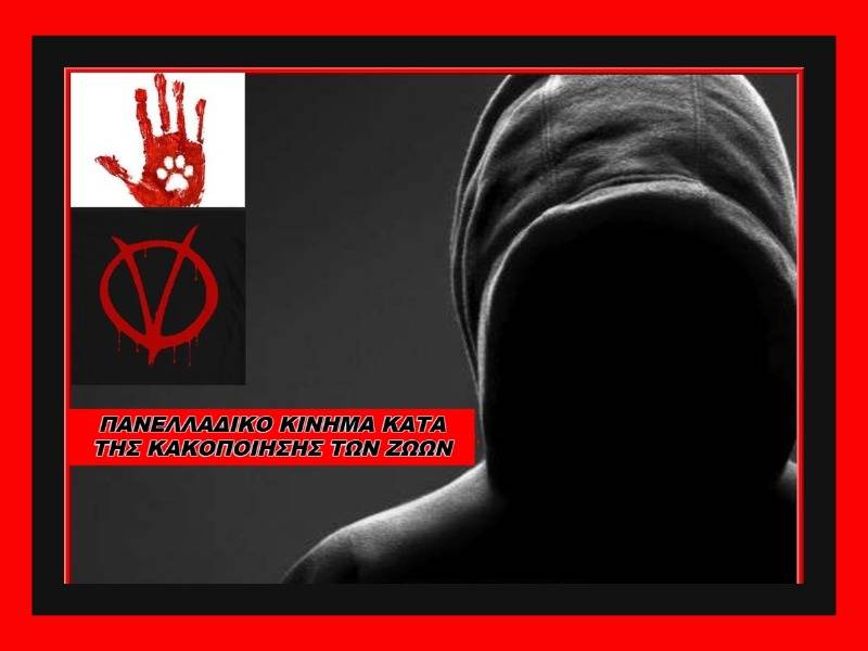 Κακοποίηση ζώων και ακτιβισμός - Η αδέσμευτη φωνή των τετράποδων