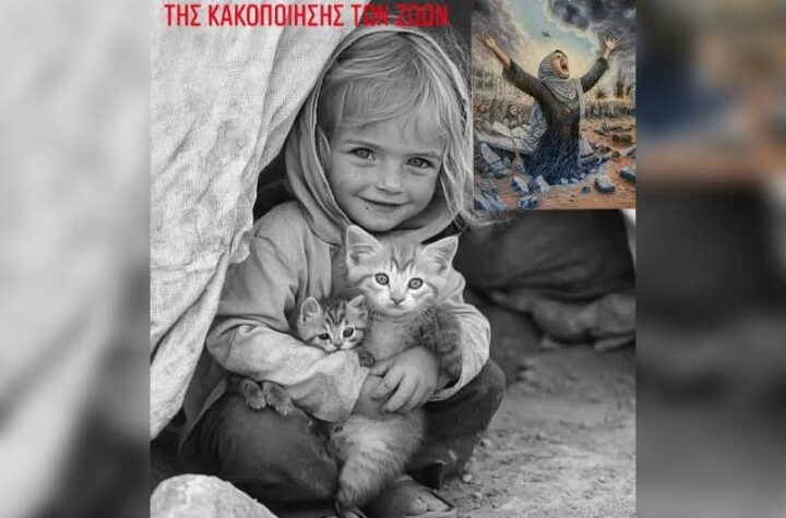 Κακοποίηση ζώων και ακτιβισμός - Η αδέσμευτη φωνή των τετράποδων