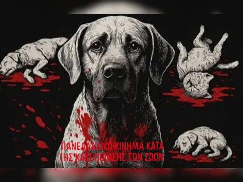 Κακοποίηση ζώων και ακτιβισμός - Η αδέσμευτη φωνή των τετράποδων