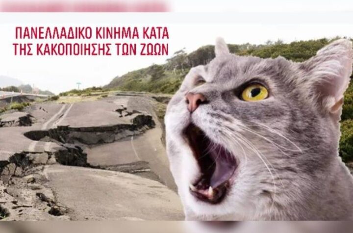 Κακοποίηση ζώων και ακτιβισμός - Η αδέσμευτη φωνή των τετράποδων
