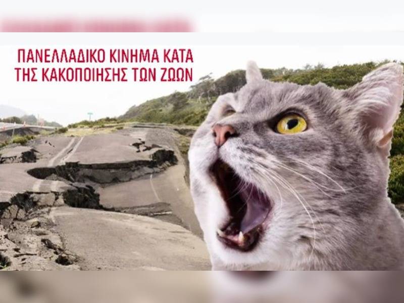 Κακοποίηση ζώων και ακτιβισμός - Η αδέσμευτη φωνή των τετράποδων