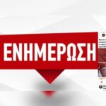 Κακοποίηση ζώων και ακτιβισμός - Η αδέσμευτη φωνή των τετράποδων