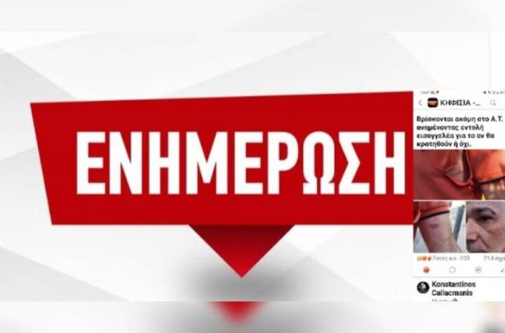 Κακοποίηση ζώων και ακτιβισμός - Η αδέσμευτη φωνή των τετράποδων