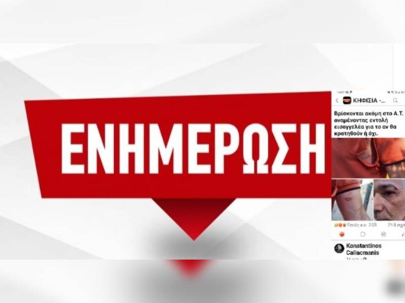 Κακοποίηση ζώων και ακτιβισμός - Η αδέσμευτη φωνή των τετράποδων
