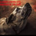 Κακοποίηση ζώων και ακτιβισμός - Η αδέσμευτη φωνή των τετράποδων