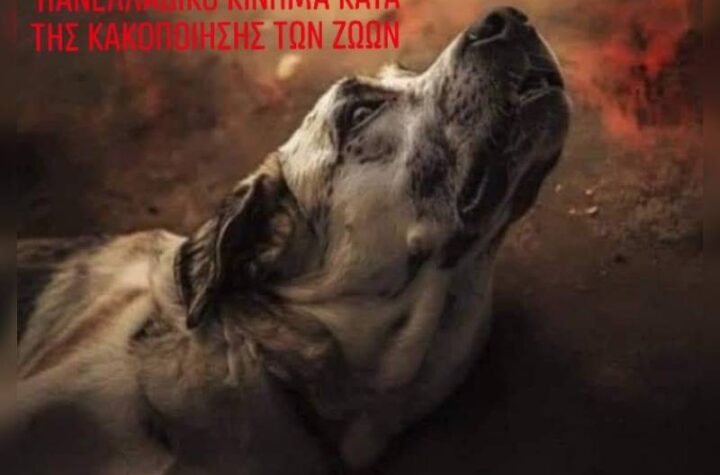 Κακοποίηση ζώων και ακτιβισμός - Η αδέσμευτη φωνή των τετράποδων