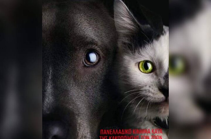 Κακοποίηση ζώων και ακτιβισμός - Η αδέσμευτη φωνή των τετράποδων