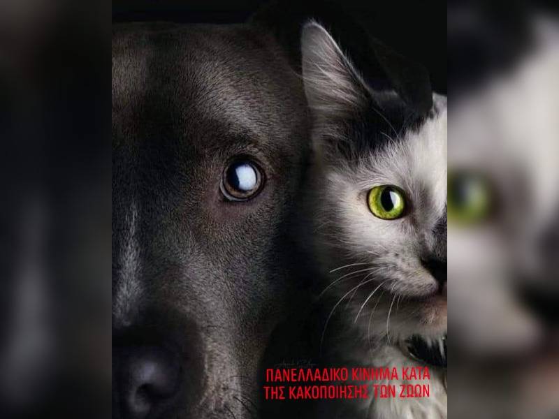 Κακοποίηση ζώων και ακτιβισμός - Η αδέσμευτη φωνή των τετράποδων