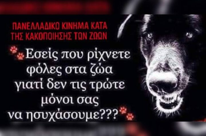 Κακοποίηση ζώων και ακτιβισμός - Η αδέσμευτη φωνή των τετράποδων