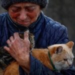 Κακοποίηση ζώων και ακτιβισμός - Η αδέσμευτη φωνή των τετράποδων