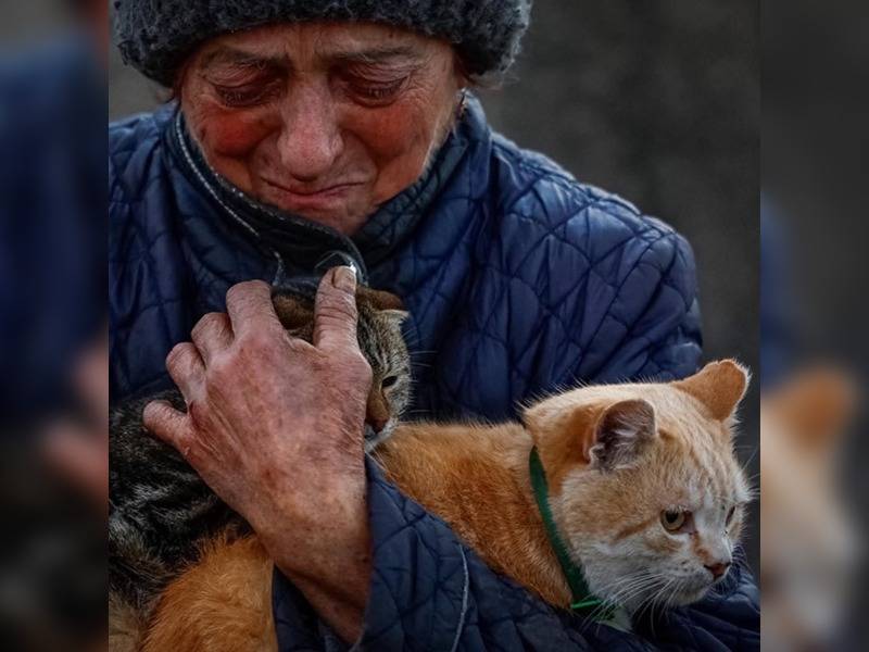 Κακοποίηση ζώων και ακτιβισμός - Η αδέσμευτη φωνή των τετράποδων