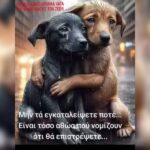Κακοποίηση ζώων και ακτιβισμός - Η αδέσμευτη φωνή των τετράποδων