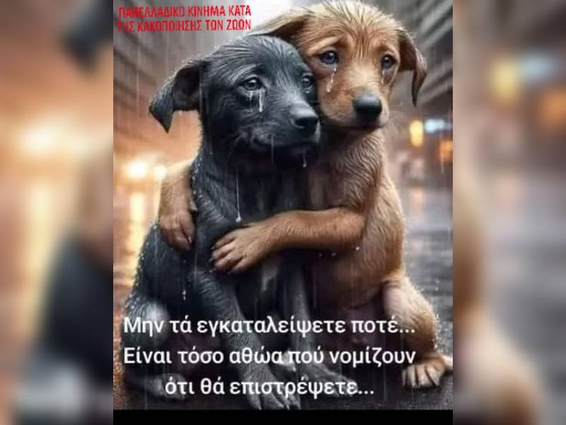 Κακοποίηση ζώων και ακτιβισμός - Η αδέσμευτη φωνή των τετράποδων