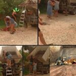 Κακοποίηση ζώων και ακτιβισμός - Η αδέσμευτη φωνή των τετράποδων