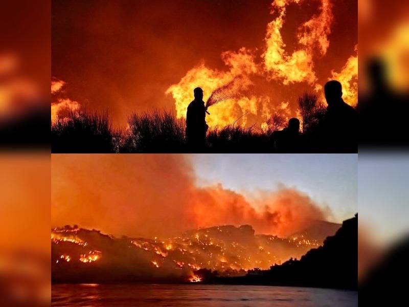 Κακοποίηση ζώων και ακτιβισμός - Η αδέσμευτη φωνή των τετράποδων