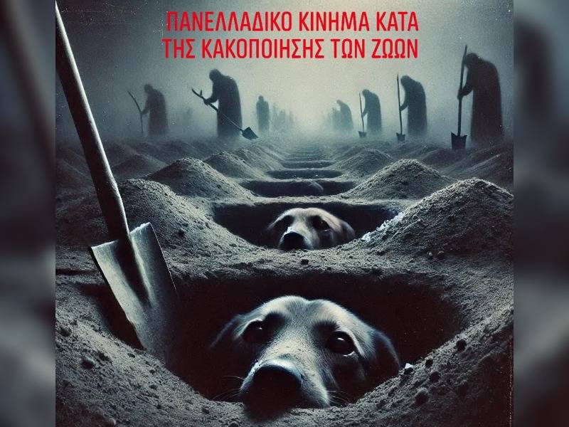 Κακοποίηση ζώων και ακτιβισμός - Η αδέσμευτη φωνή των τετράποδων