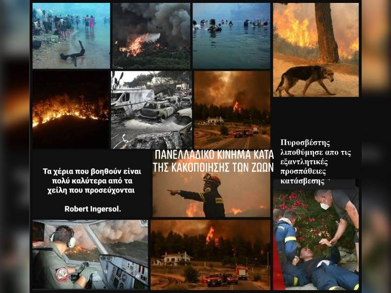 Κακοποίηση ζώων και ακτιβισμός - Η αδέσμευτη φωνή των τετράποδων