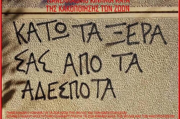 Κακοποίηση ζώων και ακτιβισμός - Η αδέσμευτη φωνή των τετράποδων