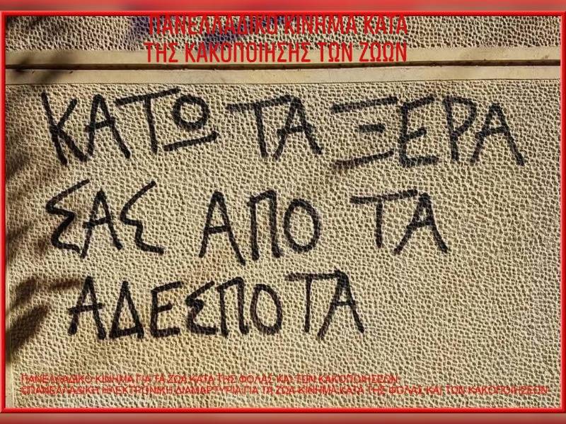 Κακοποίηση ζώων και ακτιβισμός - Η αδέσμευτη φωνή των τετράποδων
